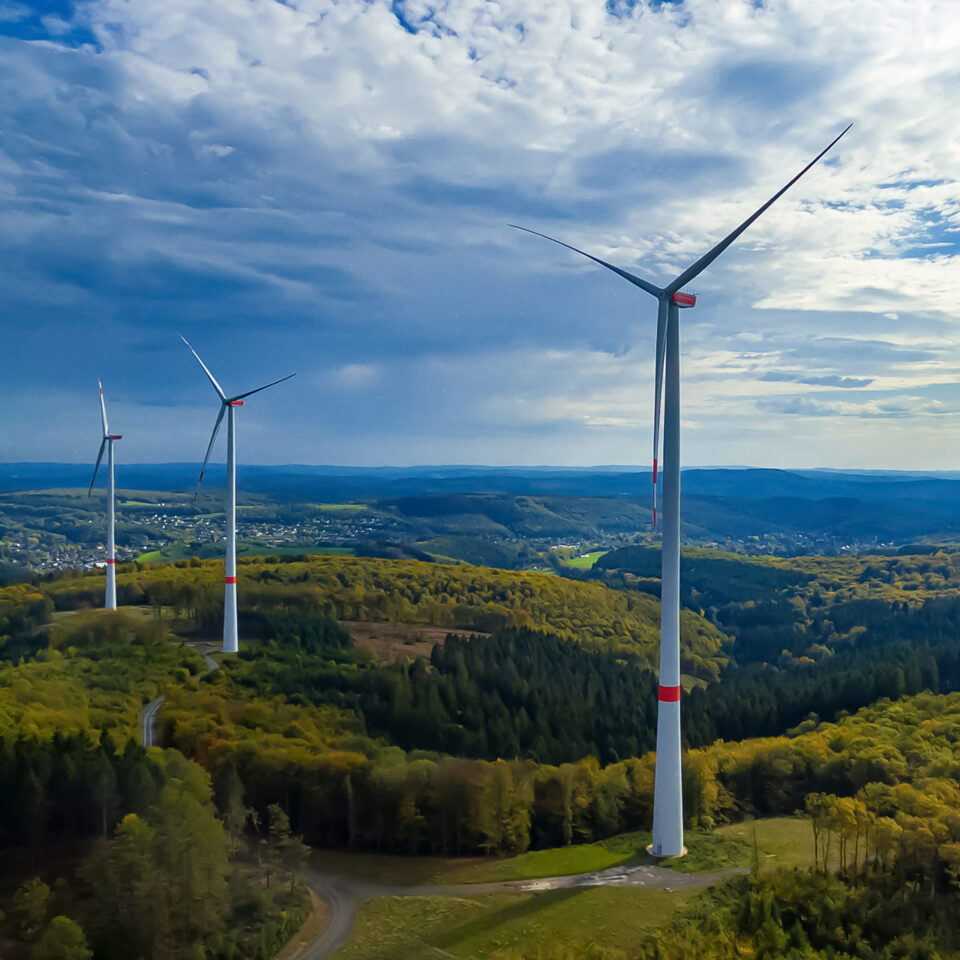 lintas-windpark-knippen